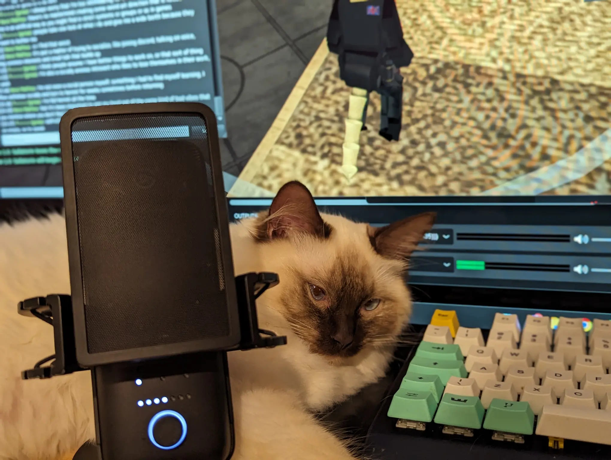 A seal-point ragdoll cat, named Bebbez, lying across my desk between the microphone and a pastel mechanical keyboard, with Second Life open on the monitor behind